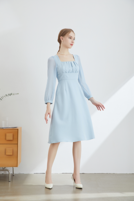 Nova Sheer Sleeve Midi Dress