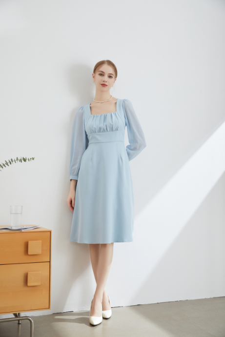 Nova Sheer Sleeve Midi Dress
