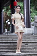 Jin Yuè Classic Qi Pao