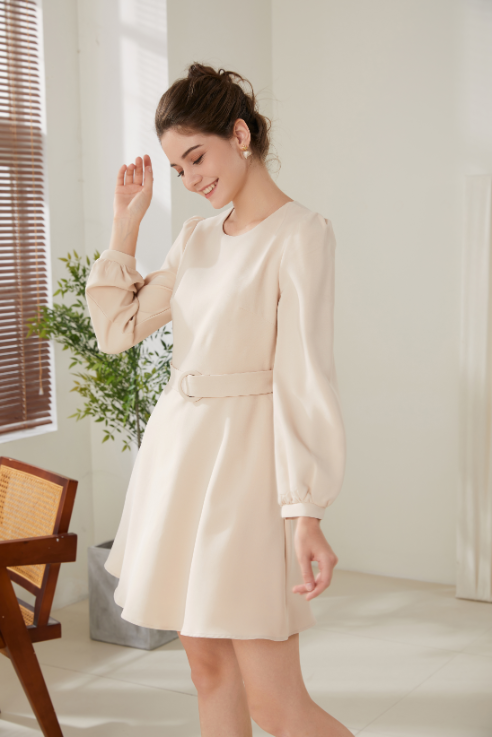 Fiona Elegance Long Sleeve Dress