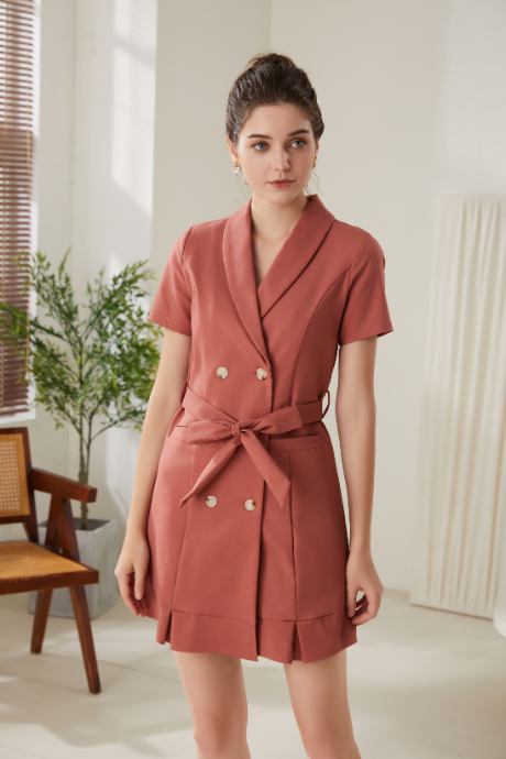 Fiona Autumn Coat Dress